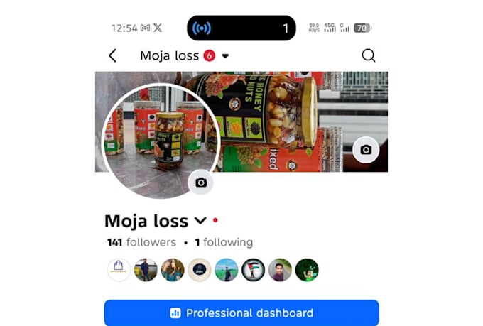 creat and setup a professional facebook page